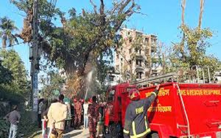 ২০০ বছর বয়সী রেইনট্রি গাছে আগুন